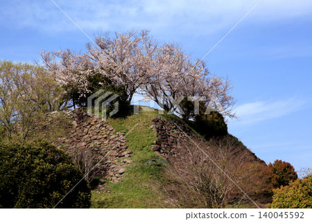Nagoya Castle Ruins, a historical tourist spot in Saga Prefecture, is bustling with visitors enjoying the spring scenery of cherry blossoms in full bloom. Nagoya Castle Ruins, a historical tourist spot in Saga Prefecture, is bustling with visitors enjoying the spring scenery of cherry blossoms in full bloom. 140045592