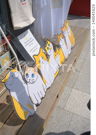 A cute cat sign on a Seoul street corner, bathed in the refreshing light of May. 140045829