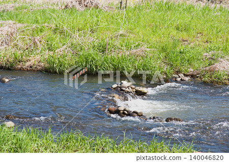 "Mase fishing" is a type of fishing in the Tohoku region of Japan that utilizes the spawning behavior of the Japanese minnow (Dace). "Mase fishing" is a type of fishing in the Tohoku region of Japan that utilizes the spawning behavior of the Japanese minnow (Dace). 140046820