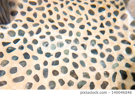 The beautiful, shimmering non-slip flooring that spreads across the bottom of hot spring baths and inns. 140046846