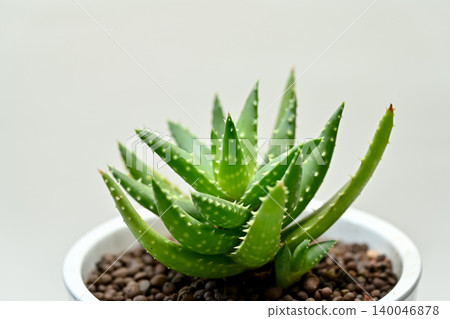 Aloe Crosby Aloe Crosby 140046878