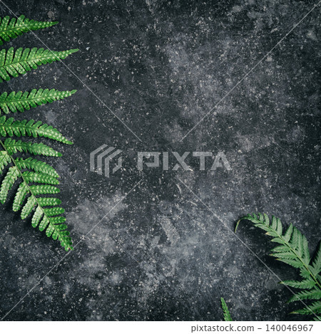 Fern Leaves on Textured Dark Background 140046967