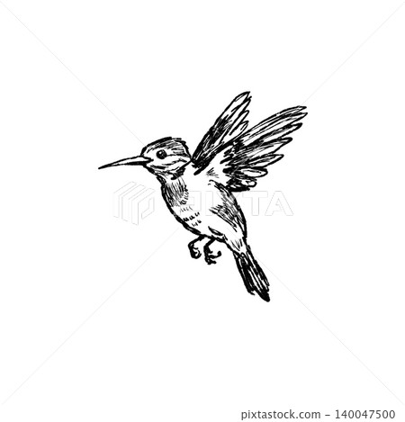 Hummingbird in flight sketch, hand drawn bird with spread wings hovering mid air. Wildlife animal doodle art, nature study ink drawing, flying avian creature black white graphic 140047500