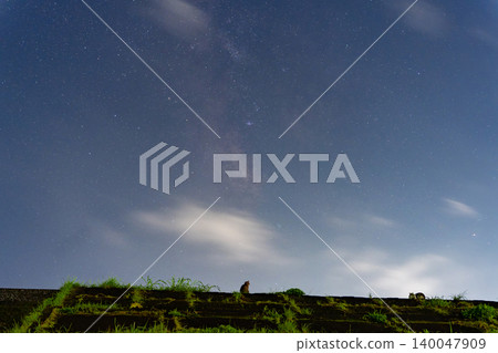 Starry sky and cat Starry sky and cat 140047909