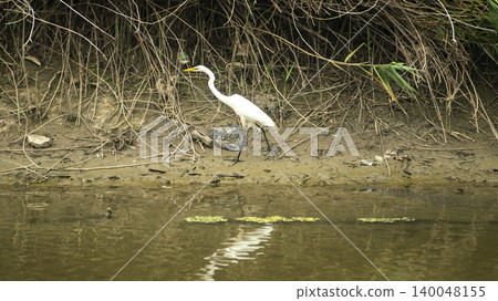 egret 140048155