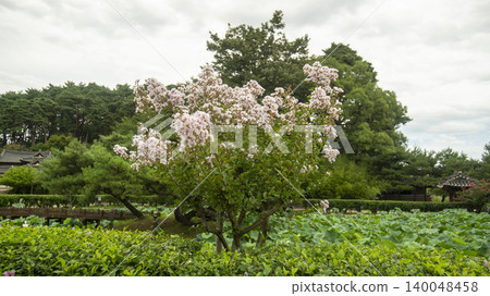 Seonkyojang Seonkyojang 140048458