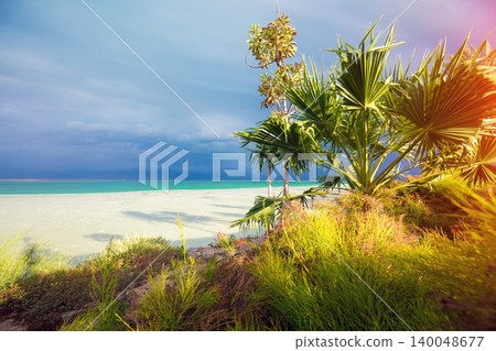 Tropical landscape with dramatic sky. Dead sea shore. Palm trees on the beach. Ein Bokek, Israel 140048677