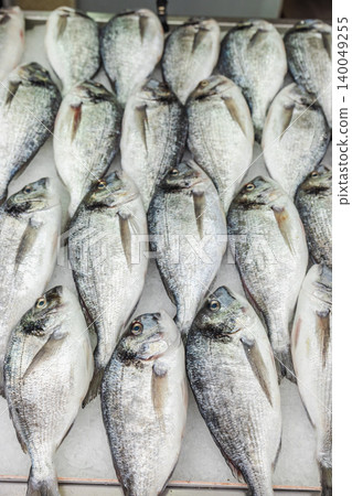 Fresh dorado sea bream fish displayed on ice at seafood market counter Fresh dorado sea bream fish displayed on ice at seafood market counter 140049255
