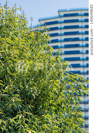 Modern high-rise residential buildings with beautiful new facades against a clear blue sky. Modern high-rise residential buildings with beautiful new facades against a clear blue sky. 140049685