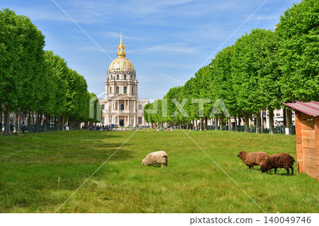 Sheep grazing on the grass on Boulevard Bréteuil in front of Les Invalides in Paris (May 14, 2022) 140049746