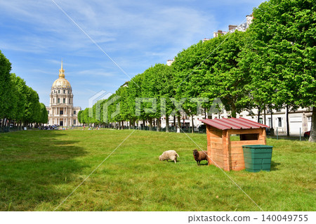 Sheep grazing on the grass on Boulevard Bréteuil in front of Les Invalides in Paris (May 14, 2022) Sheep grazing on the grass on Boulevard Bréteuil in front of Les Invalides in Paris (May 14, 2022) 140049755