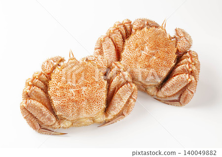 Two fresh, delicious-looking crabs with their shells fully extended. Two fresh, delicious-looking crabs with their shells fully extended. 140049882