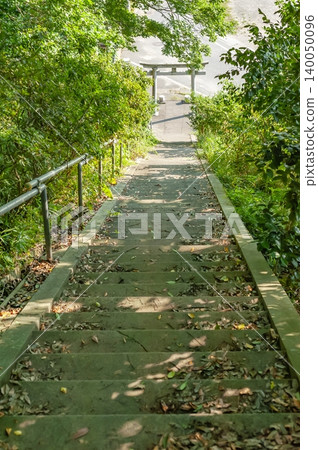 從愛宕神社(鳥取縣米子市)的院內可以看到長長的石階和鳥居,周圍環繞著新鮮的綠植。 從愛宕神社(鳥取縣米子市)的院內可以看到長長的石階和鳥居,周圍環繞著新鮮的綠植。 140050096