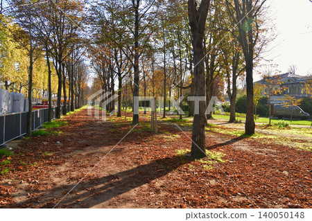 Fallen leaves piled up in the Tuileries Garden in Paris: An autumn scene (November 1, 2022) Fallen leaves piled up in the Tuileries Garden in Paris: An autumn scene (November 1, 2022) 140050148