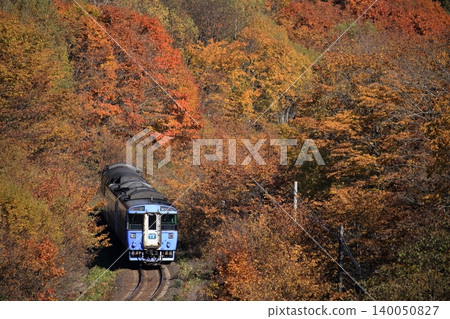 The Limited Express Daisetsu travels through the autumn foliage. 140050827