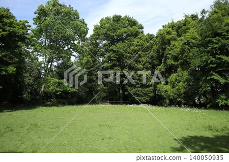 Katakura Castle Ruins Park 140050935