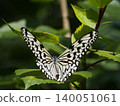 Ogomadara 140051061