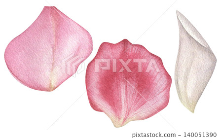 Watercolor collection rose petals on white background. Hand-drawn illustrations for wedding invitations, print, and textiles. Watercolor collection rose petals on white background. Hand-drawn illustrations for wedding invitations, print, and textiles. 140051390