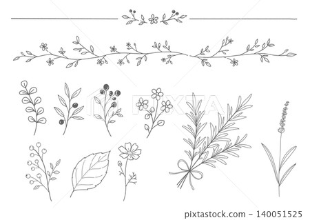 時尚的植物線條藝術插圖;手繪風格的植物插圖材料。 時尚的植物線條藝術插圖;手繪風格的植物插圖材料。 140051525