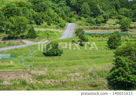 Inabuchi Rice Terraces - One of Japan's Top 100 Rice Terraces - Asuka Village, Nara Prefecture 140051615