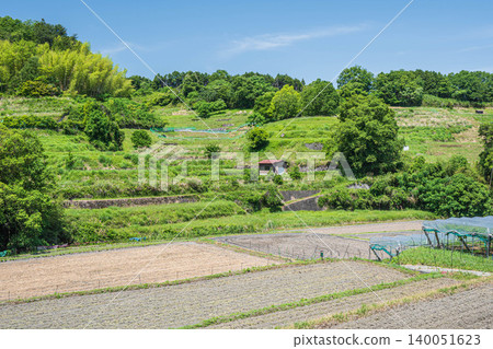 Inabuchi Rice Terraces - One of Japan's Top 100 Rice Terraces - Asuka Village, Nara Prefecture 140051623