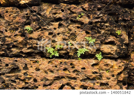 Stone walls that bear the history of the Angkor World Heritage Site Stone walls that bear the history of the Angkor World Heritage Site 140051842