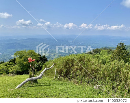 A view of the lush green mountain range and the vibrant red flowers of early summer from the mountaintop. A view of the lush green mountain range and the vibrant red flowers of early summer from the mountaintop. 140052072