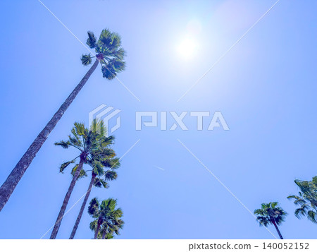 棕櫚樹和伸向藍天的太陽 棕櫚樹和伸向藍天的太陽 140052152