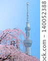 櫻花和天空樹在藍天中閃耀 140052388