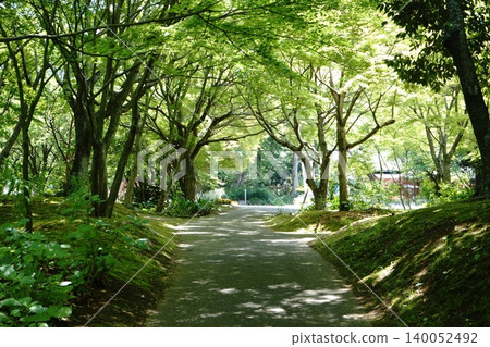 Green Tunnel Green Tunnel 140052492