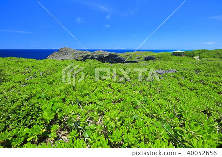 [Okinawa Prefecture] Karst topography of Toriike Pond on Shimoji Island under a clear blue sky (Miyako Island) 140052656