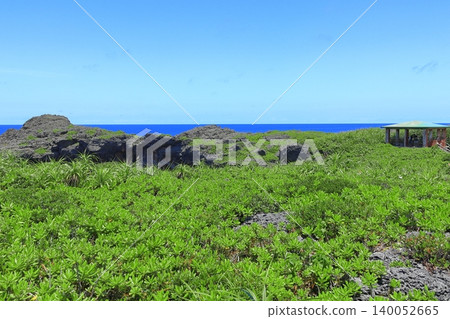 [Okinawa Prefecture] Karst topography of Toriike Pond on Shimoji Island under a clear blue sky (Miyako Island) 140052665