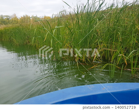 Blue boat edge visible on calm water surrounded by tall green reeds and aquatic plants under a cloudy sky in a natural wetland environment Blue boat edge visible on calm water surrounded by tall green reeds and aquatic plants under a cloudy sky in a natural wetland environment 140052719