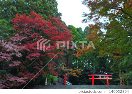 Kirishima Jingu in autumn Kirishima Jingu in autumn 140052804