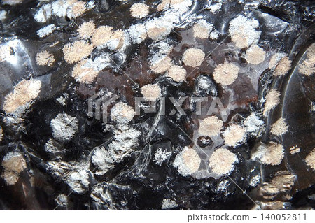 snowflake obsidian 140052811