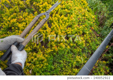 pruning, gents, male 140052922