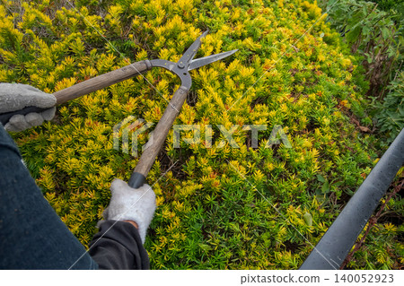 pruning, gents, male 140052923