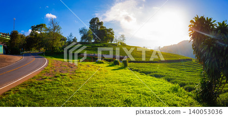 landscape view of 101 tea plantation on blue sky and sunlight background with road mountain, tourist attraction at Doi Mae Salong Chiang Rai province in thailand. landscape view of 101 tea plantation on blue sky and sunlight background with road mountain, tourist attraction at Doi Mae Salong Chiang Rai province in thailand. 140053036