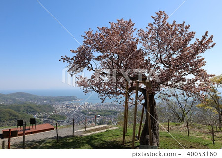 Springtime in Hokkaido, springtime in Otaru, the fragrant breezes of May in Hokkaido, the port town of Otaru viewed from Tenguyama Observatory, one of Hokkaido's three great night views. Springtime in Hokkaido, springtime in Otaru, the fragrant breezes of May in Hokkaido, the port town of Otaru viewed from Tenguyama Observatory, one of Hokkaido's three great night views. 140053160