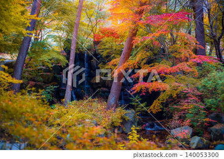 A small waterfall hidden in a forest with changing autumn leaves in Kawaguchi-ko, Japan. (Autumn season) A small waterfall hidden in a forest with changing autumn leaves in Kawaguchi-ko, Japan. (Autumn season) 140053300