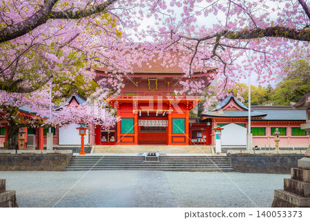 Cherry blossoms blooming in Fujisan Hongu Sengen Taisha Shinto Shrine at Fujinomiya famous shrine and landmark of Shizuoka Japan. Woman holding an umbrella Cherry blossoms blooming in Fujisan Hongu Sengen Taisha Shinto Shrine at Fujinomiya famous shrine and landmark of Shizuoka Japan. Woman holding an umbrella 140053373