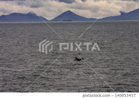 Bering Sea 140053457