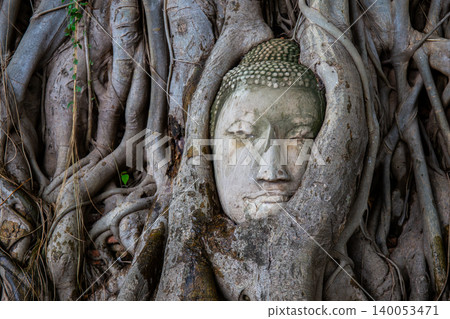 The ancient Buddha head embedded in tree roots at Wat Phra Mahathat, Ayutthaya Historical Park, Thailand, is an original and popular tourist attraction. The ancient Buddha head embedded in tree roots at Wat Phra Mahathat, Ayutthaya Historical Park, Thailand, is an original and popular tourist attraction. 140053471