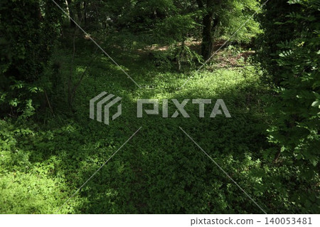 片倉城堡遺址公園 片倉城堡遺址公園 140053481