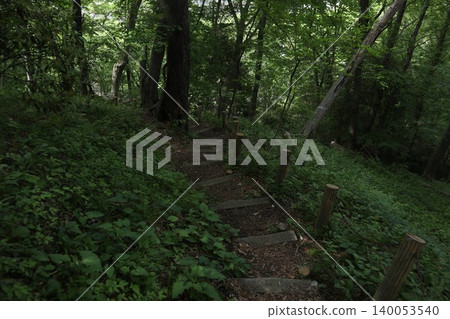 Katakura Castle Ruins Park 140053540