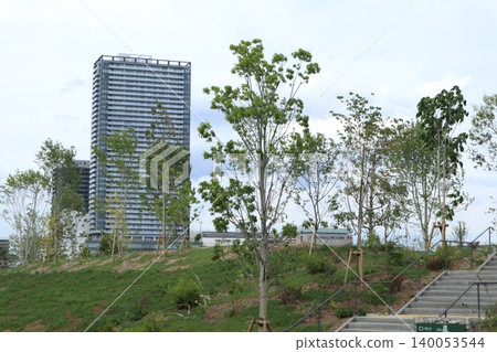 Hachioji cityscape 140053544