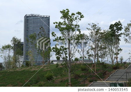八王子市容 八王子市容 140053545