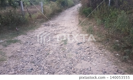 the road in the forest 140053555