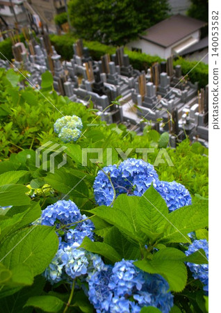 Yogenji Temple Yogenji Temple 140053582