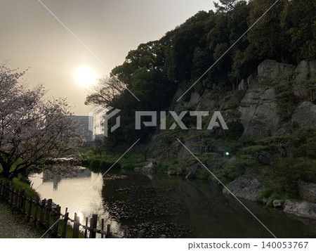 Cherry blossoms blooming by the water's edge and the beautiful scenery at sunset. Cherry blossoms blooming by the water's edge and the beautiful scenery at sunset. 140053767